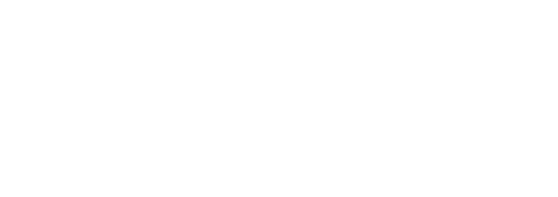 NetzCnopf Logo